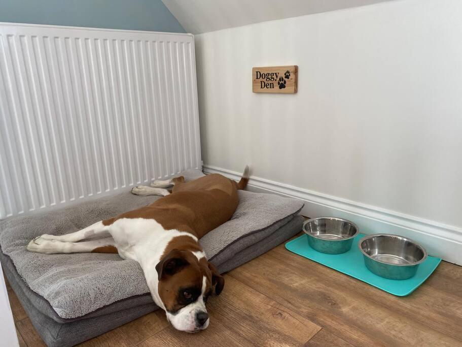 The Swish - New Forest Get Away Redlynch  Esterno foto